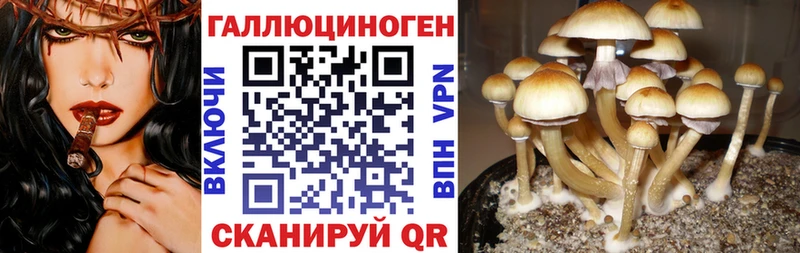 Галлюциногенные грибы Psilocybine cubensis  Лангепас 